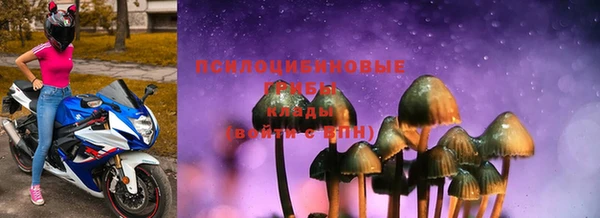 винт Алексеевка
