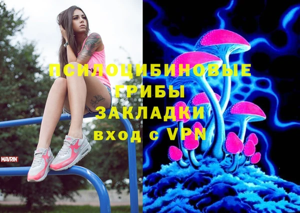 прущие грибы Алексин