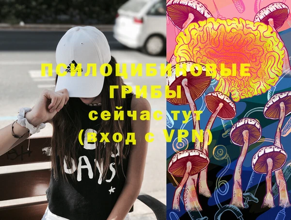 винт Алексеевка