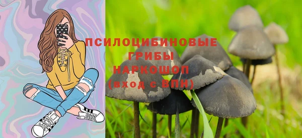винт Алексеевка