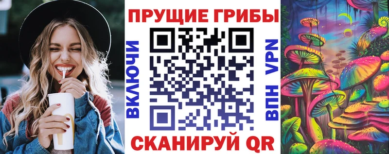 Галлюциногенные грибы Psilocybine cubensis  цены наркотик  Тюкалинск 